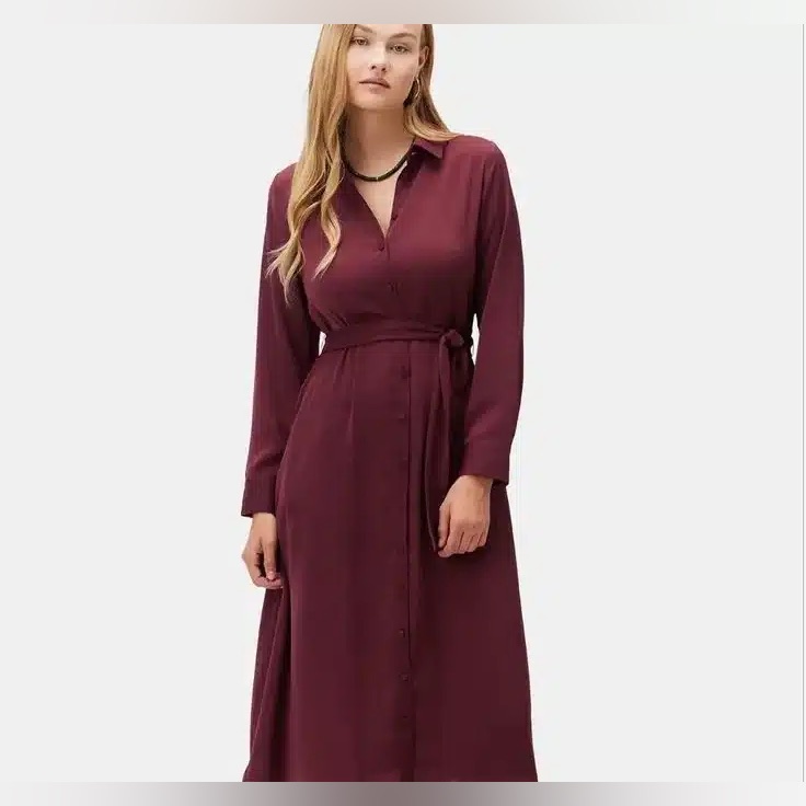 Amour Vert Burgundy Dress